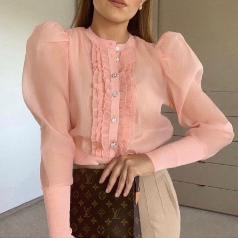 Zara organza gorgeous blouse! Size medium in excellent used condition/new.